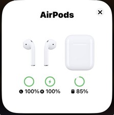 Apple AirPods 1a generazione con Custodia di Ricarica - Bianche