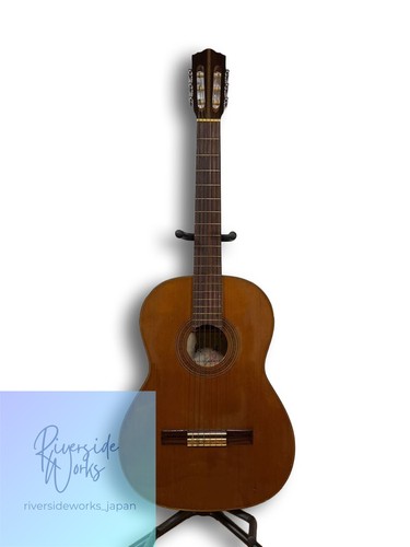 Suzuki violin chitarra - violin, n.38