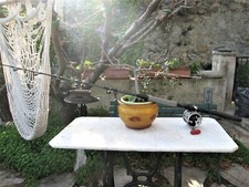 CANNA TRAINA SHIMANO TIAGRA