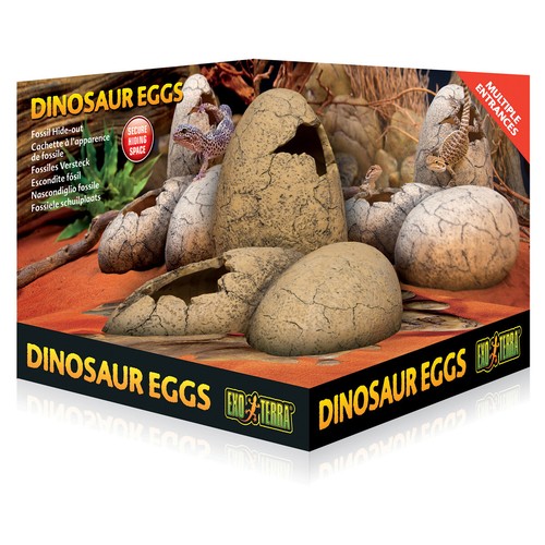 Exo terra uova dinosauro - terra,