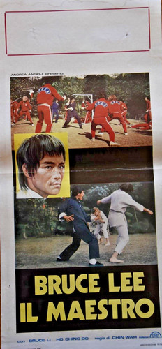 Bruce lee maestro - bruce, il