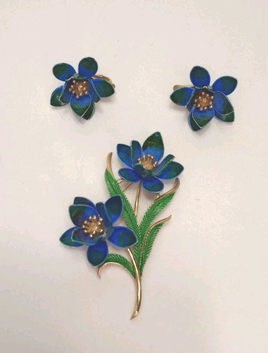 Set orecchini spilla - , clip
