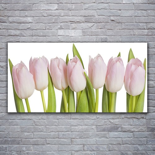 120x60 stampa tela - stampa,