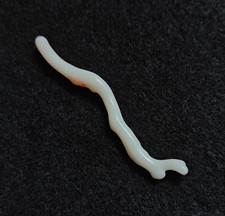 Naturale Bianco Corallo Branch