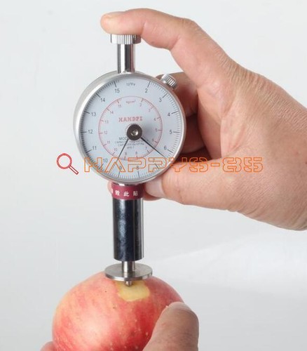 Nuovo 1pz frutta - nuovo,