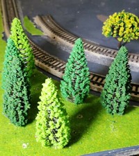 10 Abeti Scuri, Chiari E Medi, Alberi Di Conifere, 130 Mm Di Altezza