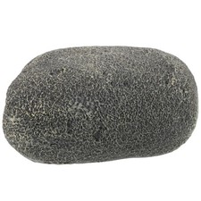  Decorazioni Acquario