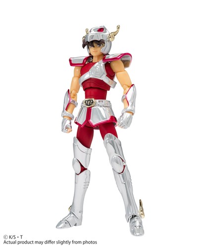 Saint seiya - saint,