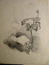 AUGUSTE ROEDEL (1859-1900)