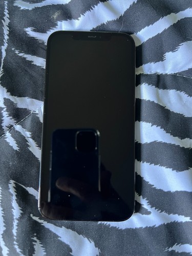 Apple iphone pro max - 12,