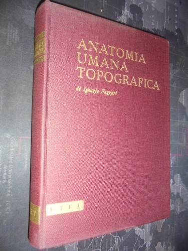 Fazzari anatomia umana - fazzari,