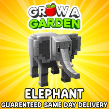 NUOVO ELEFANTE | PIÙ