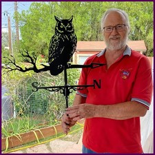 Creatività Gufo Bandiera