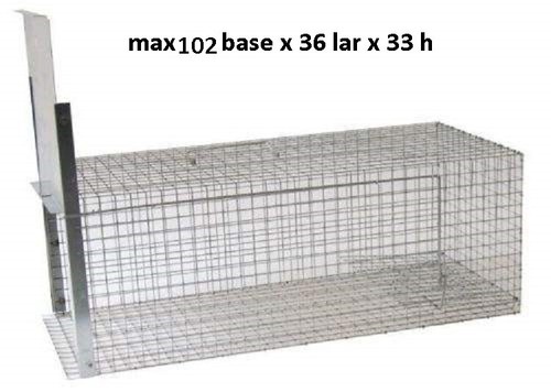 Gabbia trappola max gatti - ,