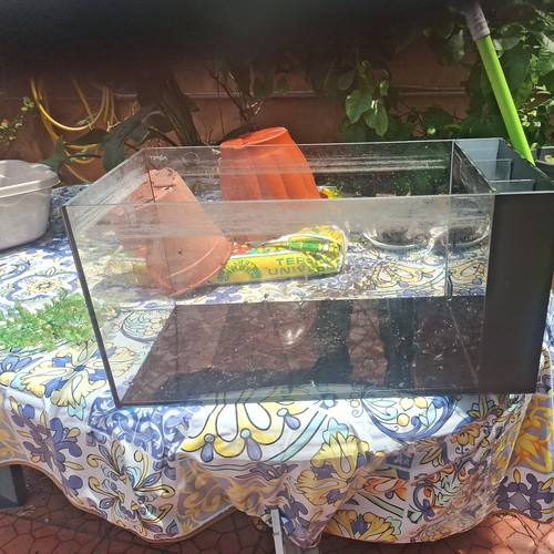 Aquario dolce - aquario,