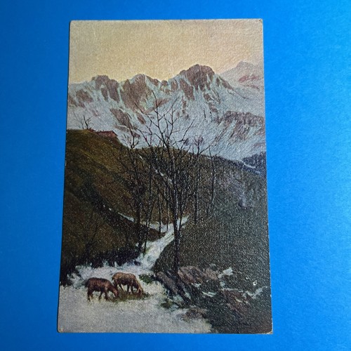 Scritta brescia alberi - brescia,
