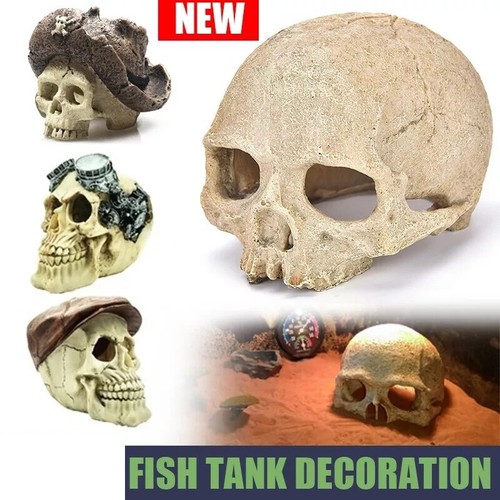 Testa teschio finto - di,