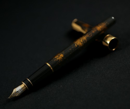Penna stilografica parker - penna,