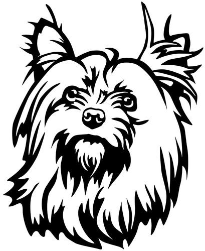 Yorkshire terrier aufkleber - terrier,