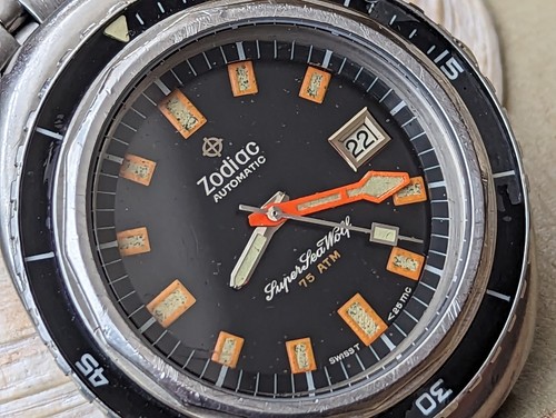 Vintage 1970 zodiac - vintage,