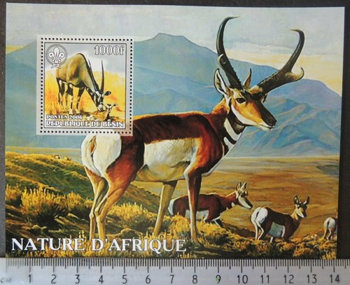 2006 animali della natura
