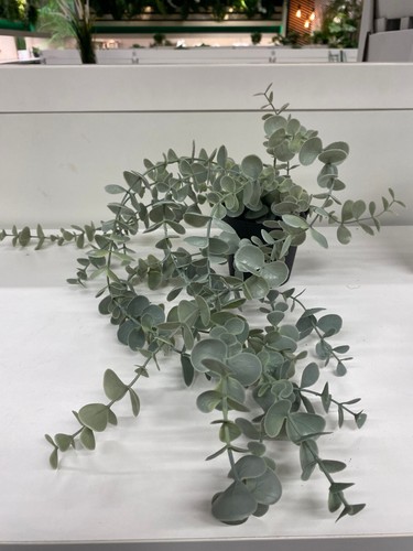 Pianta artificiale vaso - pianta,