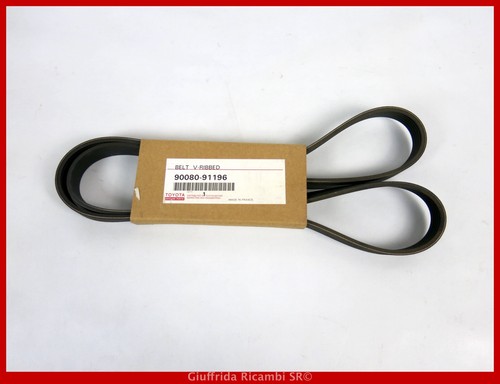 Cinghia servizi poly toyota - servizi,