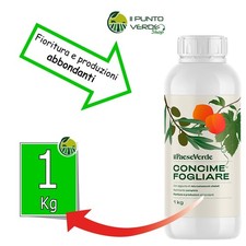 Concime Fogliare per piante di OLIVO VITE AGRUMI 1 LT fioritura ABBONDANTE