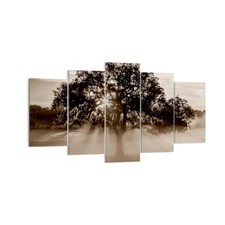 Quadro su Tela 160x85cm albero campo natura Stampe Immagini Quadri Murale