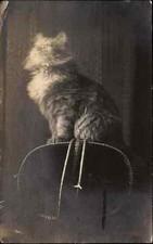 Annullo postale Muncie IN Main