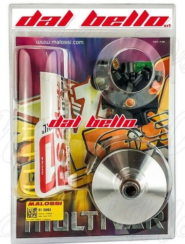 513863 malossi variatore - 513863,