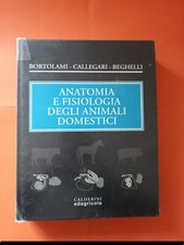 Anatomia e fisiologia degli