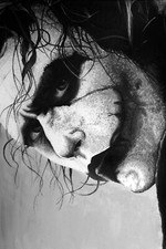 61928 The Joker Heath Ledger