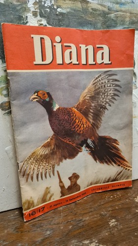 Rivista mensile diana 31 - rivista, 16/17