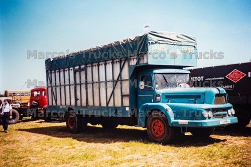 Foto camion trasporto - , bestiame