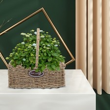  Porta Piante Da Appendere Arredamento Della Pianta Sospeso Cesto Per