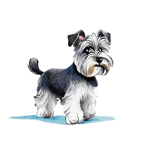 Adesivo auto schnauzer nano - auto,