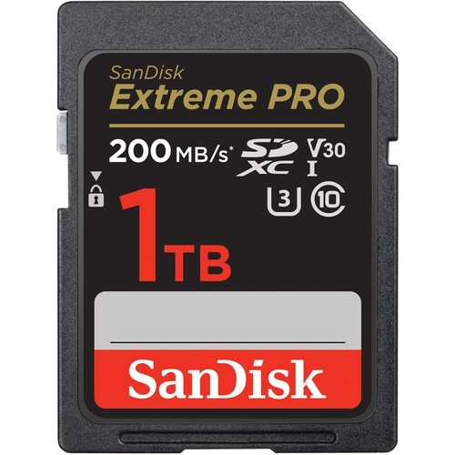 Scheda fotocamera sandisk - scheda,