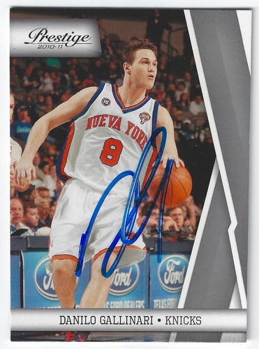 Danilo gallinari new york - danilo,