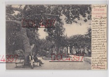 SIRACUSA GIARDINO VILLA