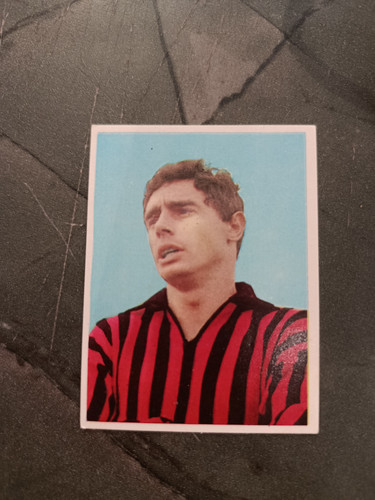 1966 imperia calciatori - 1966-67,