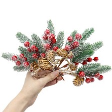 Rami di Bacche di Pino