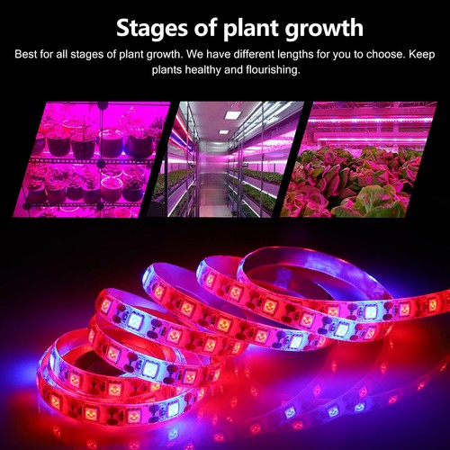 Striscia led coltivazione - striscia,