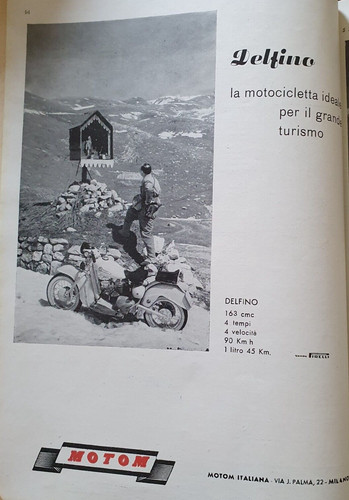 Moto delfino motom advert - moto,