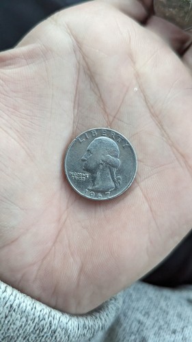 Moneda cuarto dolar - moneda, quarter
