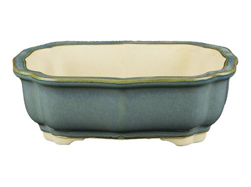 Vaso per bonsai - ovale, in