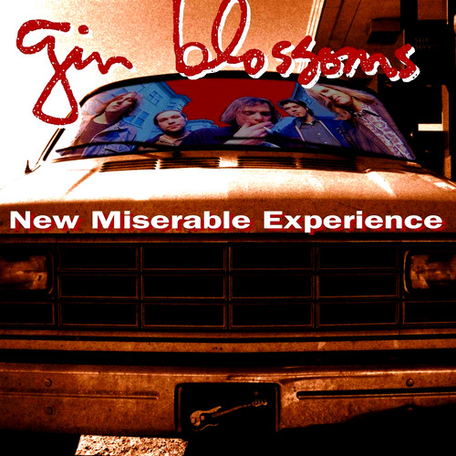 Gin blossoms new - blossoms,