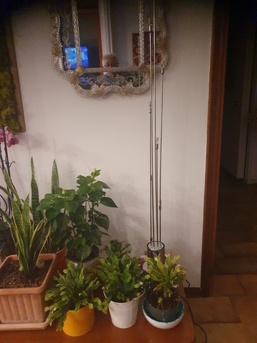 Piantana vintage acciaio - vintage,