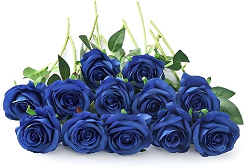 Laelfe pcs rose blu - laelfe,