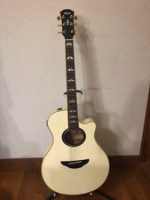 Chitarra elettrica acustica - chitarra,